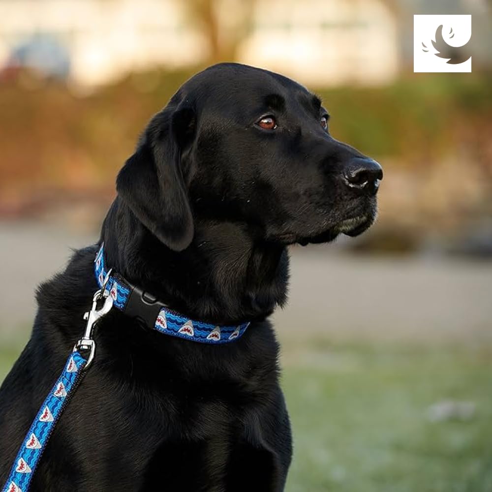 Rc Pets 3/4' X 6 Ft Dog Leash, Tan Tartan