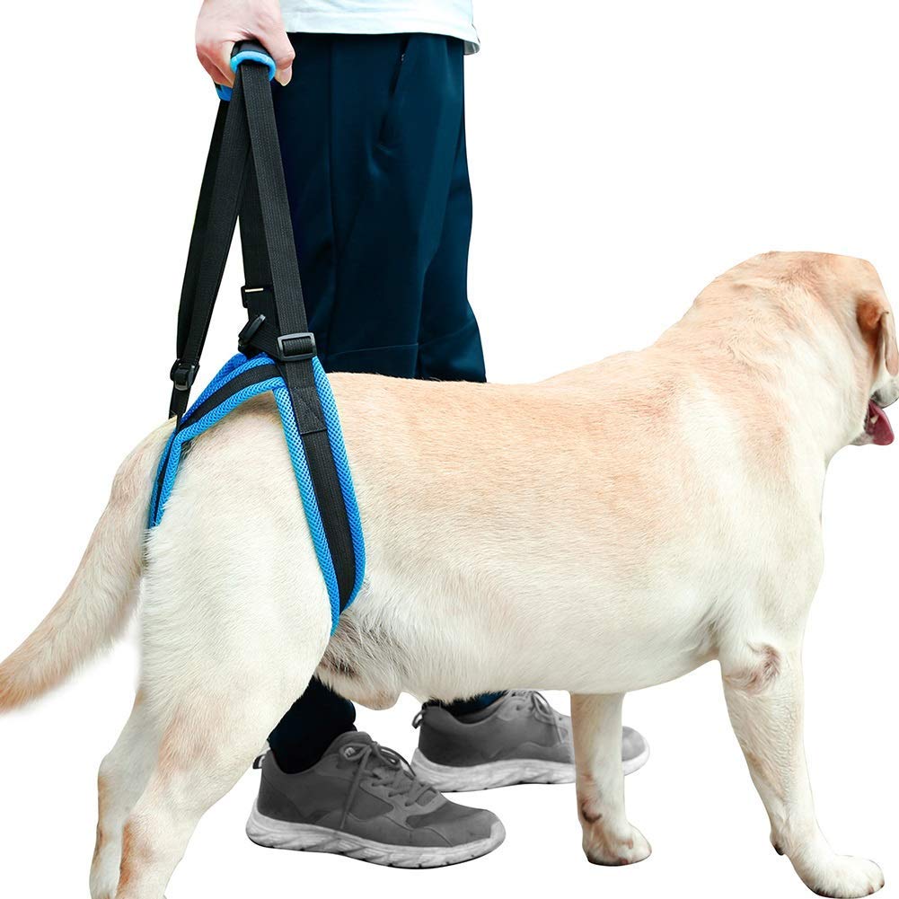 Dog Lift Harness Dog Lift Support Harness, Dog Sling For Large Dogs Hind Leg Support Soft Dog Support Harness For Back Legs, Adjustable Hip Support Harness For Senior, Disabled, Injured Dog
