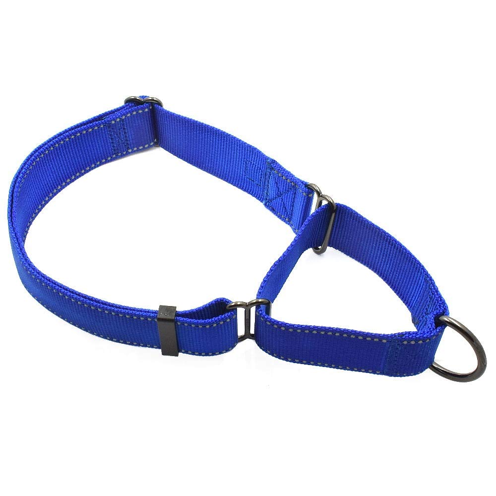 Max And Neo Nylon Extra Large Dog Martingale Collar - We Donate A Collar To A Dog Rescue For Every Collar Sold (Blue)