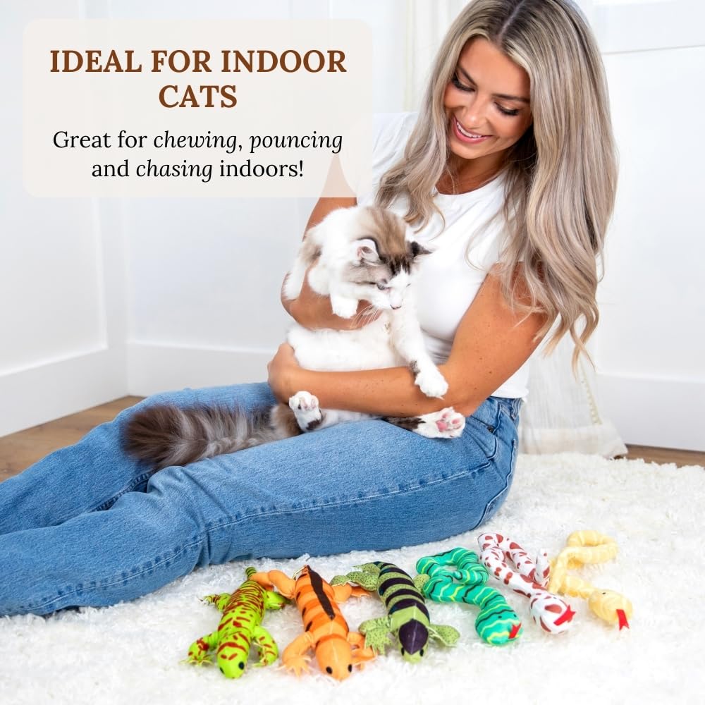 Cat Toy Snake Lizard Catnip Toys Chew Bite Resistant Toys For Indoor Cats Boredom Relief Teeth Cleaning Interactive Funny Cute K