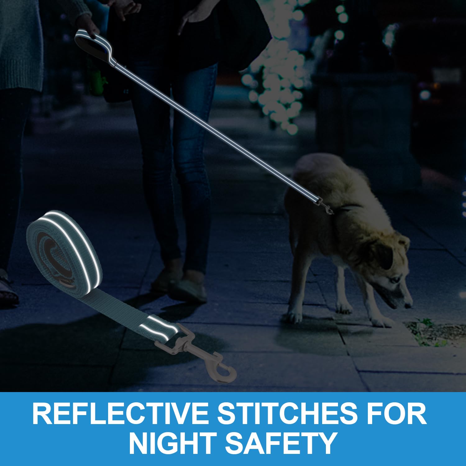 Usunyvora Reflective Nylon Dog Leash For Walking,Strong Dog Leash With Padded Handle For Medium And Large Dogs,6 Ft,Sky Blue