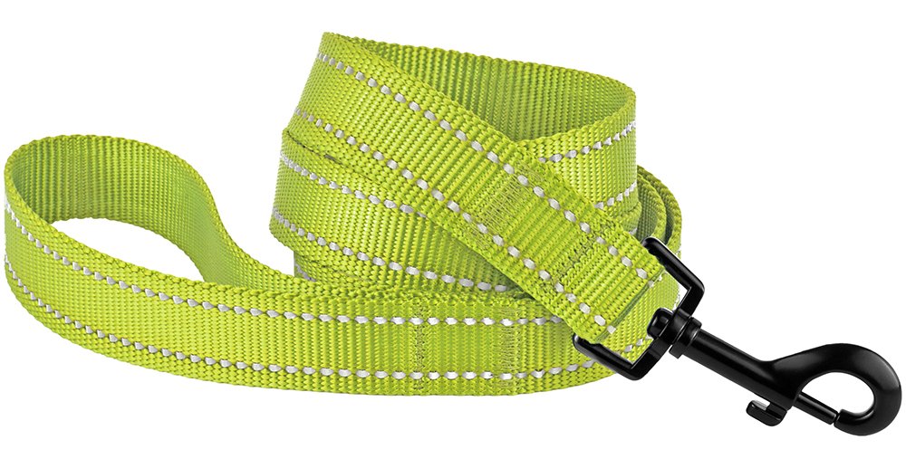 Collardirect Nylon Dog Leash 5Ft For Daily Outdoor Walking Running Training Heavy Duty Reflective Pet Leashes For Large, Medium & Small Dogs (M, Lime Green)