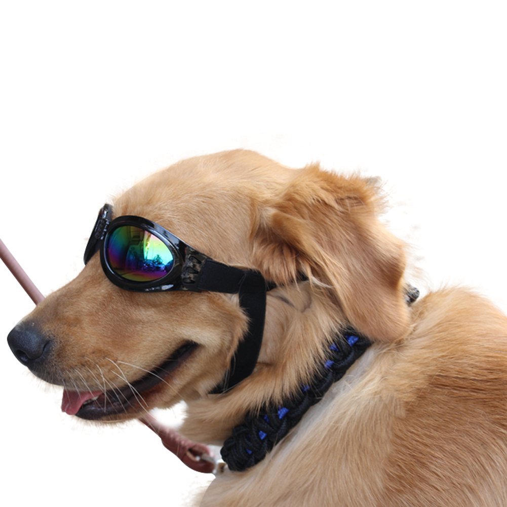 Pet Glasses Dog Sunglasses Dog Glasses Golden Retriever Samoyed Sunglasses Goggles Big Dog Sunglasses (Black)