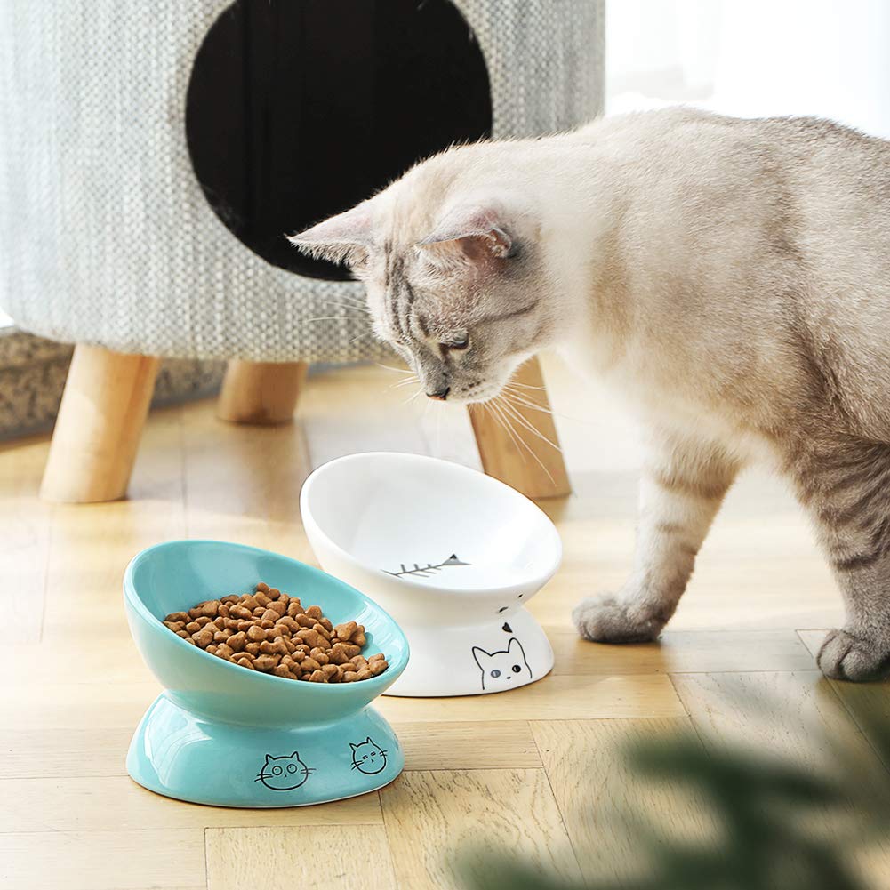 Sweejar Ceramic Raised Cat Bowls, Slanted Cat Dish Food or Water Bowls, Elevated Porcelain Pet Feeder Bowl Protect Cats Spine,