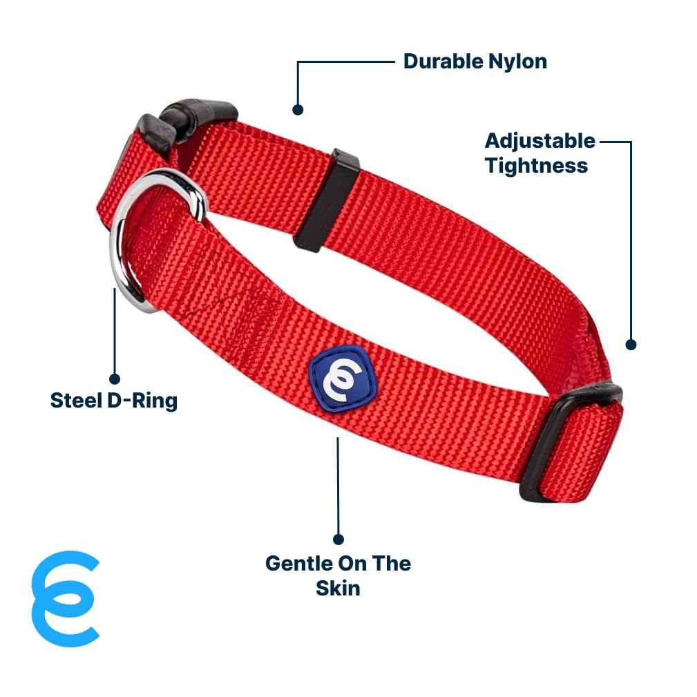 Blueberry Pet Essentials Matching Small Dog Collar | Adjustable Classic Solid Color Nylon Dog Collars For Small Dogs | Rouge Red Dog Collar For Small Dogs
