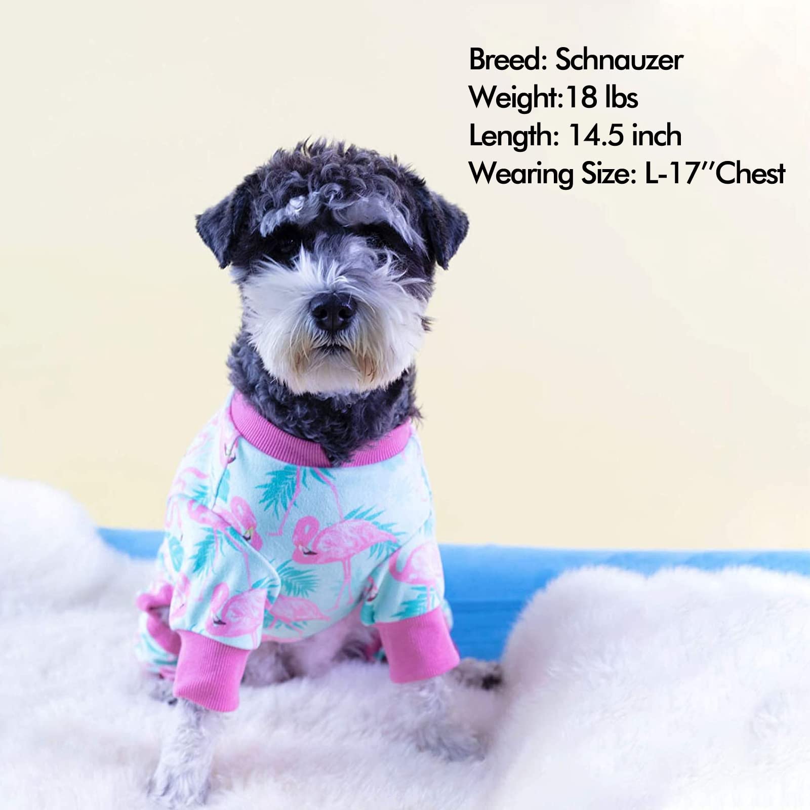 Kyeese Dog Pajamas Flamingo Cat Clothes Velvet Dog Body Suits After Surgery Dog Clothes Dog Surgery Recovery Suit Dog Coat Dog O