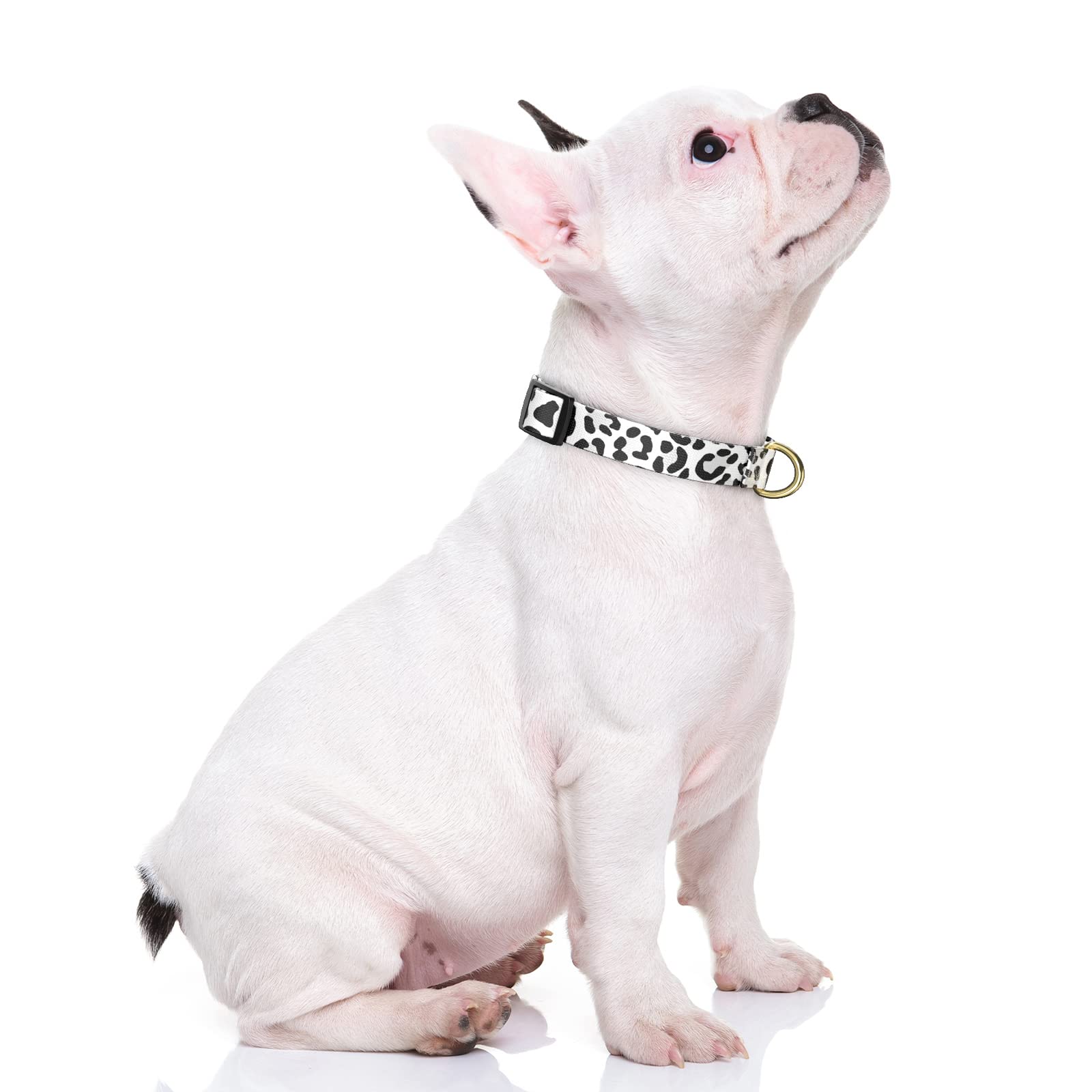 Rnivvi Dog Collar For Small Dogs, Cute Leopard Heavy Duty Adjustable Puppy Collar With Quick Release Buckle For Boy Girl & Femal