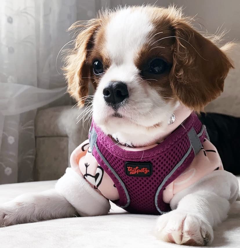 Tailpetz Purple Dog Harness Small Sized Dogs, Adjustable Step in No Pull Harness for Small Dogs, Reflective Puppy Harness for Pu