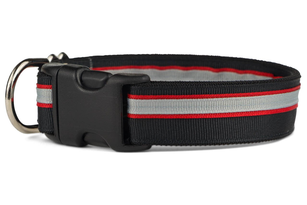 If It Barks 1'' Designer Striped Dog Collar (Small (11''-15''), Rescue)