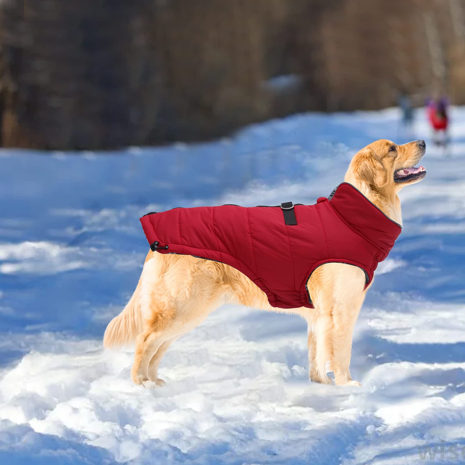 Geyecete Dog Winter Warm Coat Dog Winter Jacket Windproof Snowproof,Pet Outdoor Jacket Dog Jacket For Small Medium Large Dogs-Red-M
