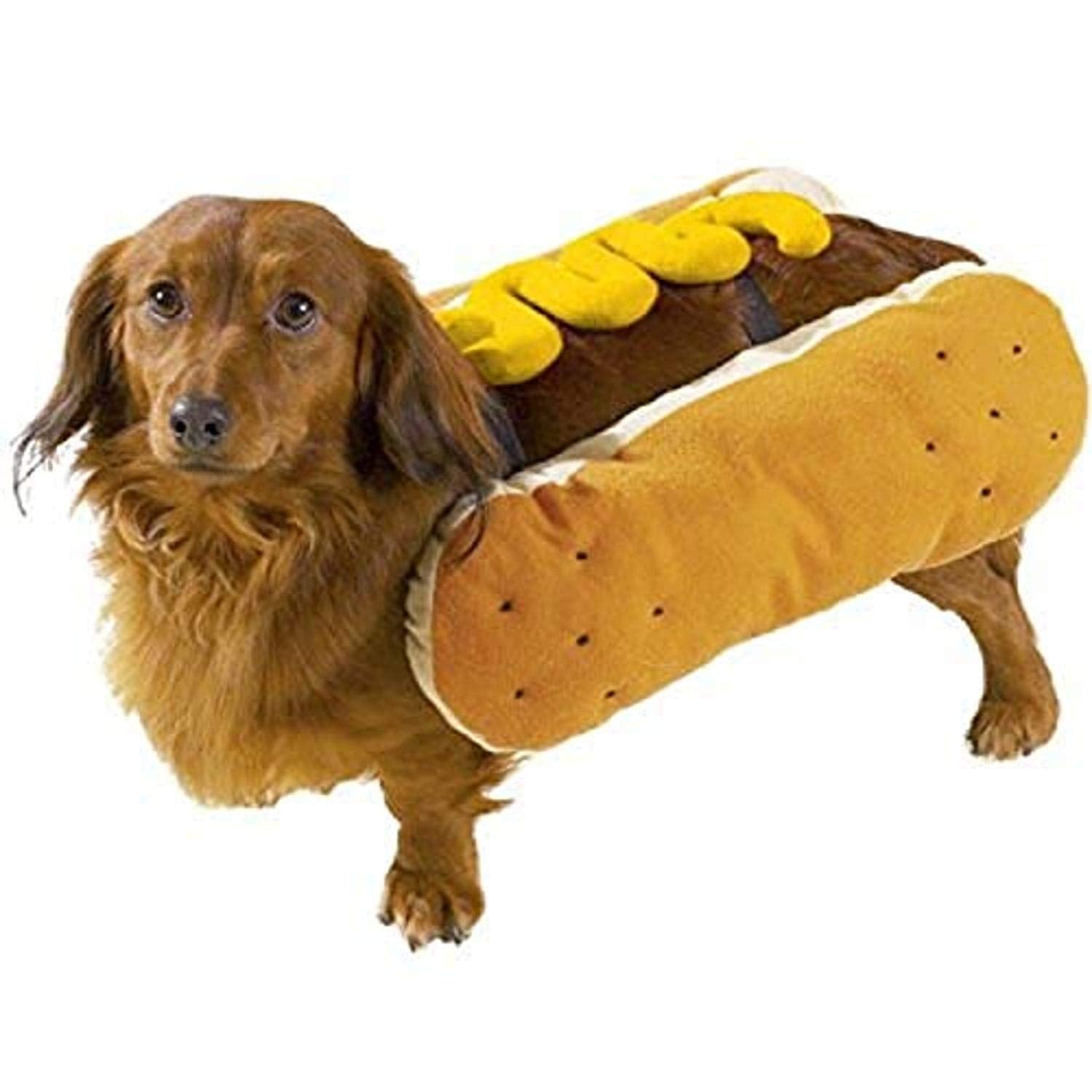 Casual Canine Hot Diggity Dog With Mustard Costume For Dogs, 12' Small