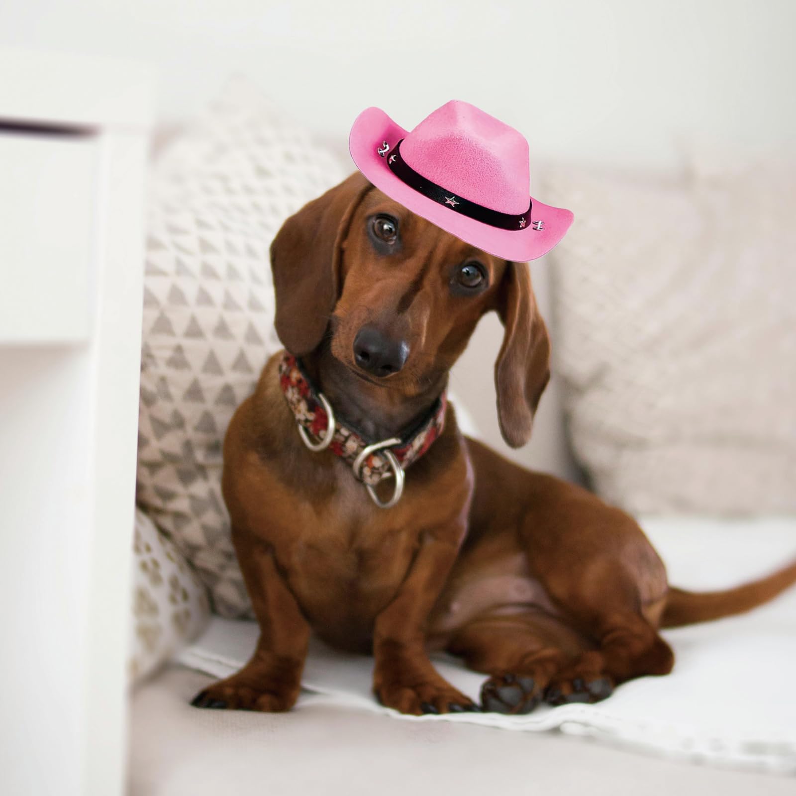 Awocan Pet Dog Costume Cowboy Hat Cosplay Cap Puppy Pet Dog Cat Holiday Pet Party Decoration (Pink)