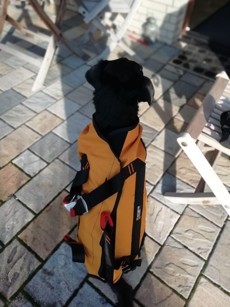Singing Rock Laika Dog Harness
