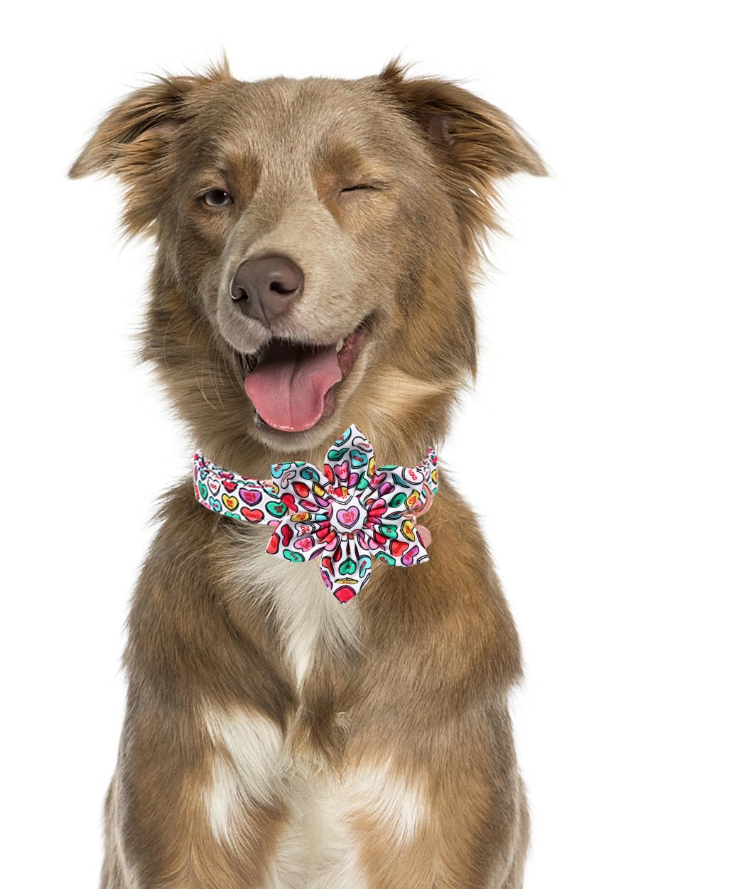 Dogwong Valentine'S Dog Collar With Flower, Adjustable Durable Pink Heart Dog Collar Cute Dog Collar For Small Medium Dogs