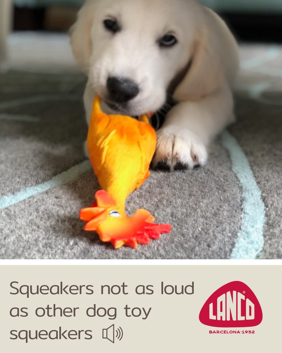 Rubber Chicken Dog Toys - Natural Rubber (Latex) - Small Breeds Puppies Lead-Free Chemical-Free - Complies With Same Safety Standards As Baby Toys - Soft Unstuffed Squeaky (Small)