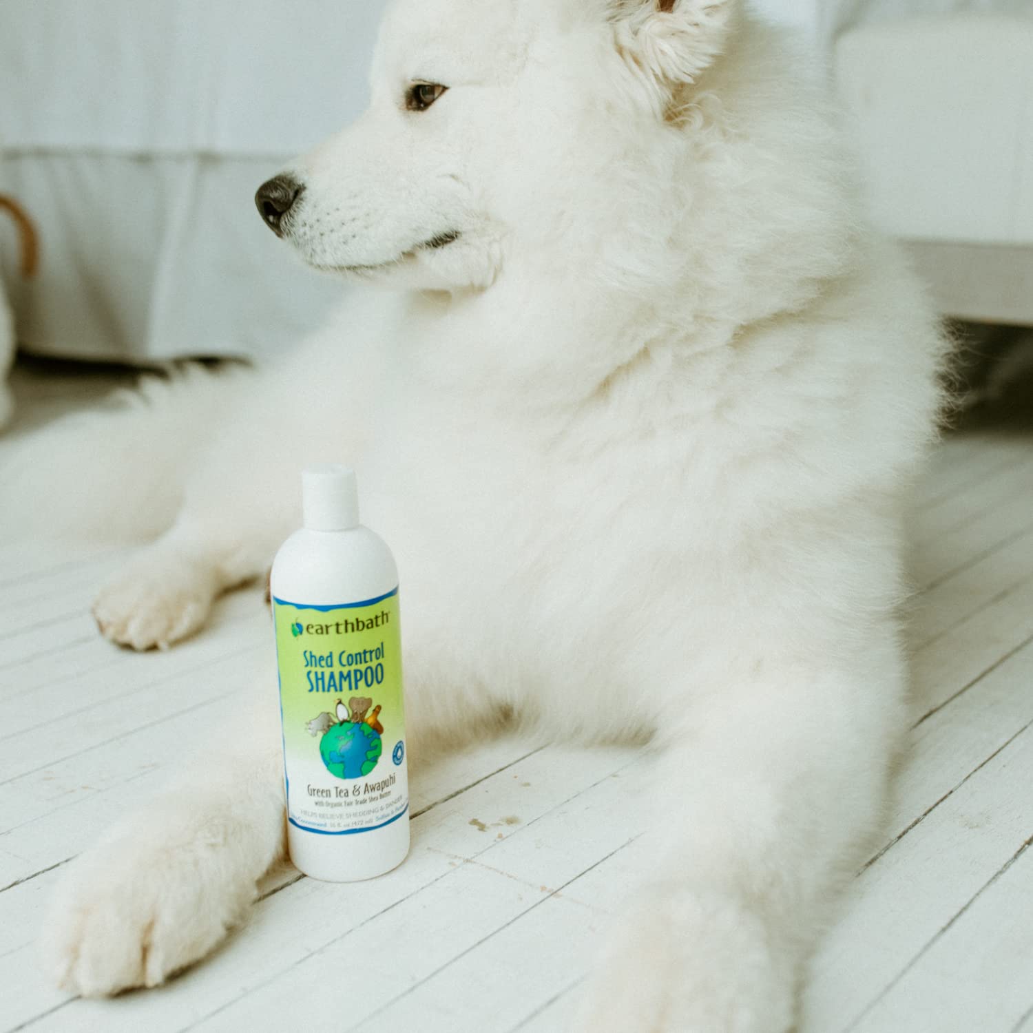 Earthbath, Green Tea & Awapuhi Shed Control Dog Shampoo - Cruelty Free Dog Shampoo, Helps Relieve Shedding & Dander, Gentle Dog Wash, Made In Usa, Dog Bathing Supplies - 16 Oz (1 Pack)