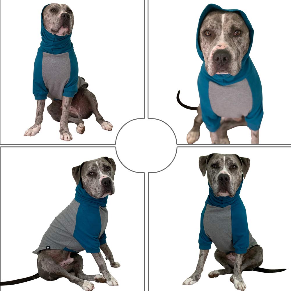 Tooth & Honey Large Dog Sweater - Pitbull, Teal & Grey (X-Large)