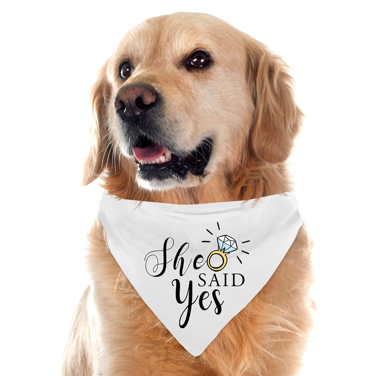 My Humans Are Getting Married She Said Yes Dog Bandana For Wedding Engagement Photos, Pet Scarf Accessories For Dog Lovers, Bridal Shower Gift, Pack Of 2