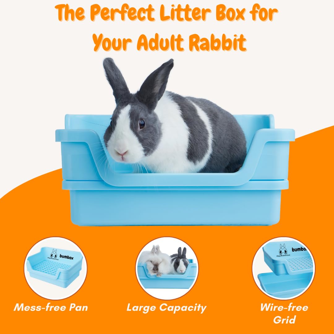 Bumbox Rabbit Large Litter Box W/Plastic Grid Safe For Bunny Feet - Training Rabbit Cage Indoor Or Outdoor For Small And Large A