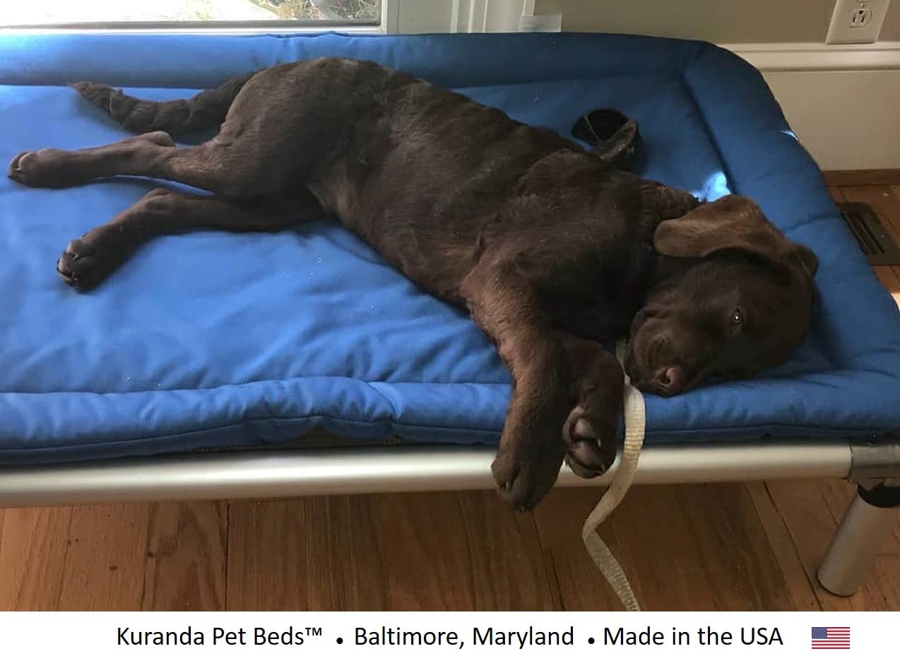 Kuranda Cordura Pad - Large - 40'' x 25'' - Royal