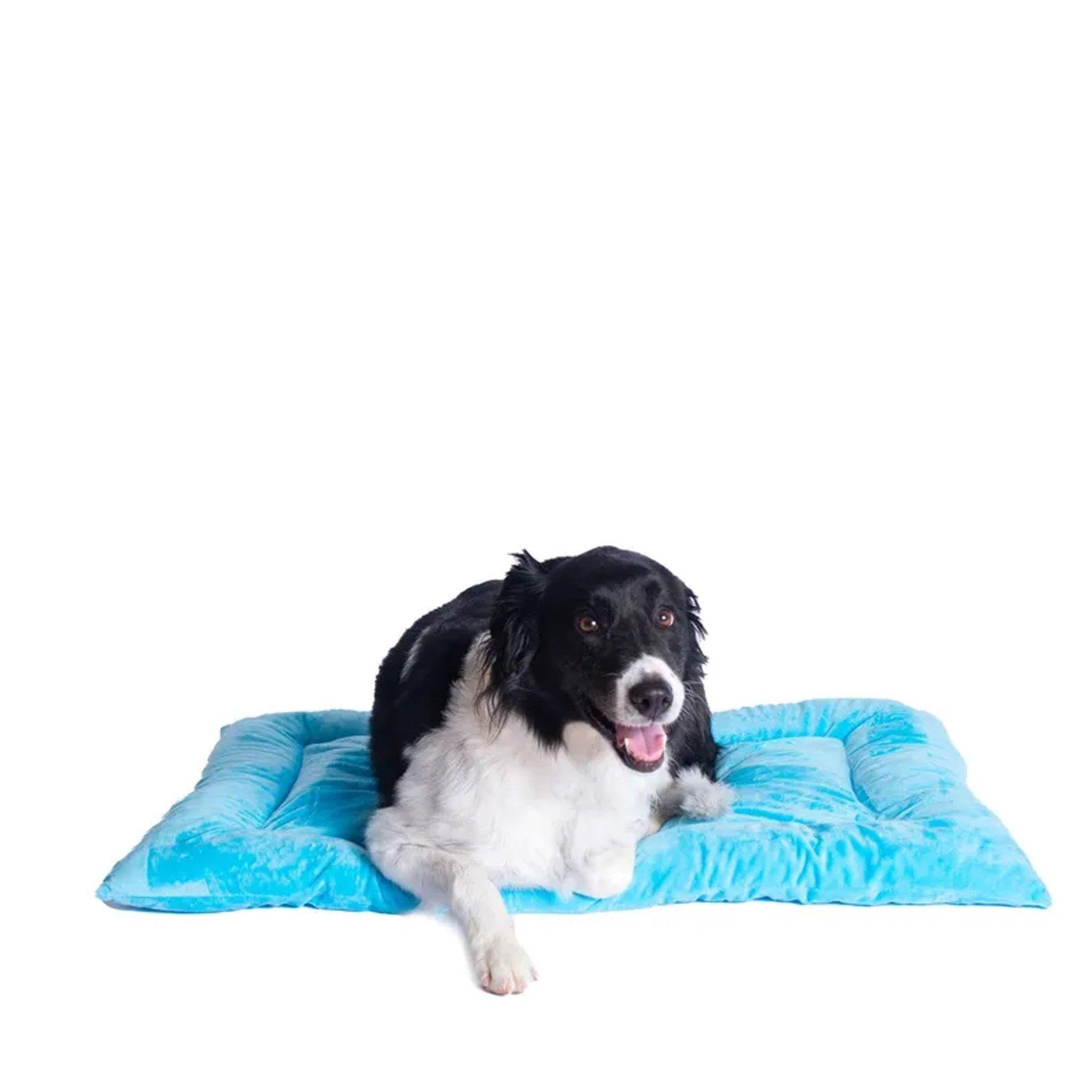 Armarkat Pet Bed Mat 35-Inch By 22-Inch By 3-Inch M01-Large, Sky Blue