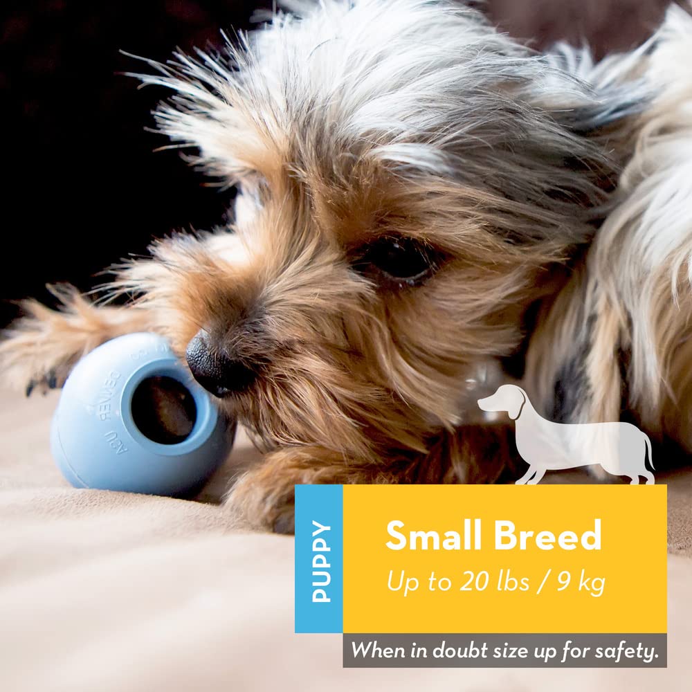 Kong Puppy - Natural Teething Rubber Chew Toy For Dogs - Stuffable Dog Toy For Extended Playtime - Chew & Fetch Toy For Puppies - For Small Puppies - Blue