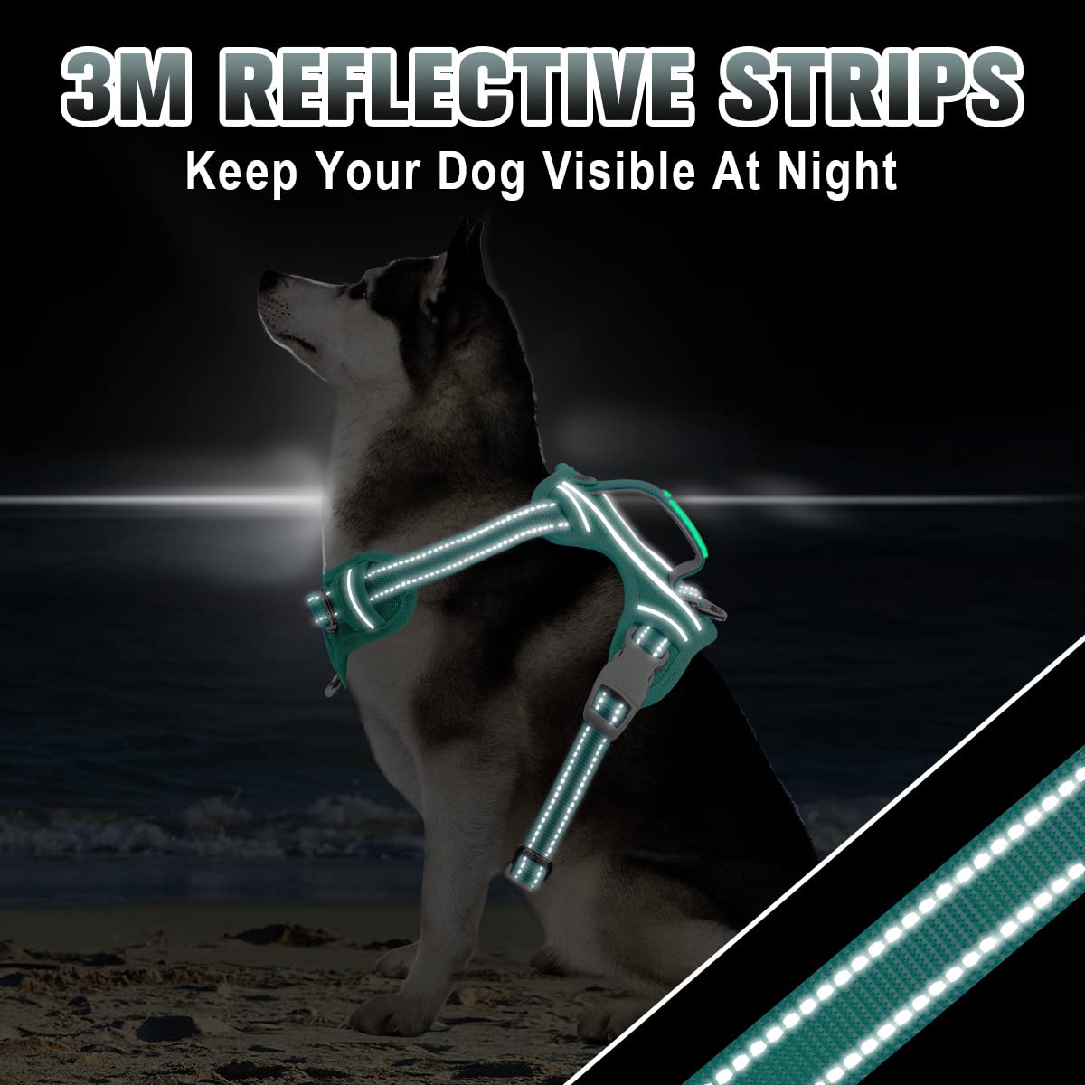 Barkbay No Pull Dog Harness Large Step In Reflective Dog Harness With Front Clip And Easy Control Handle For Walking Training Running With Id Tag Pocket(Ocean Blue,L)