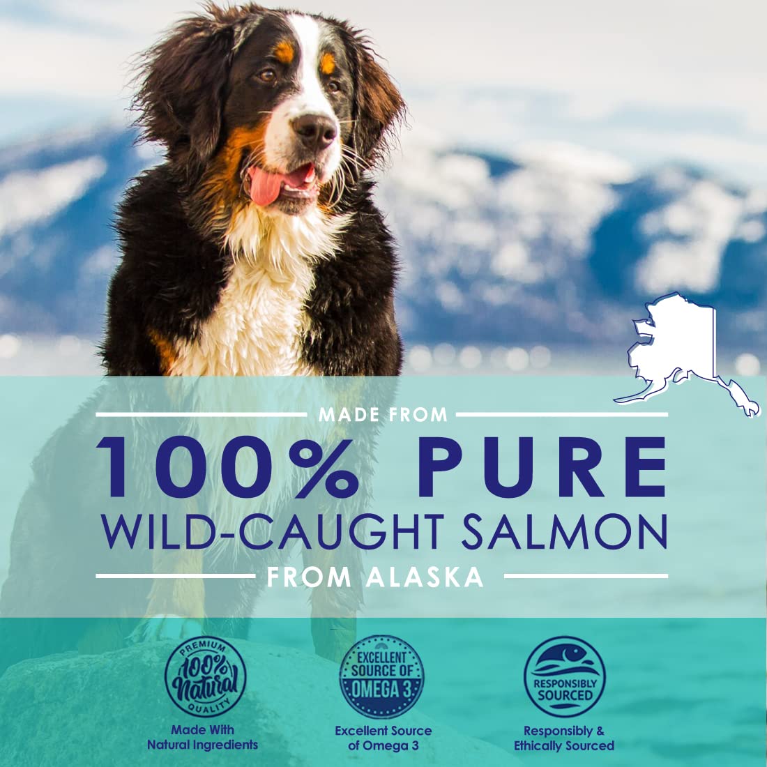 Pure Wild Alaskan Salmon Oil for Dogs, Omega 3 Fish Oil Supplement for Healthy Skin & Shiny Coat, Prevents Itchy Skin, Skin Alle