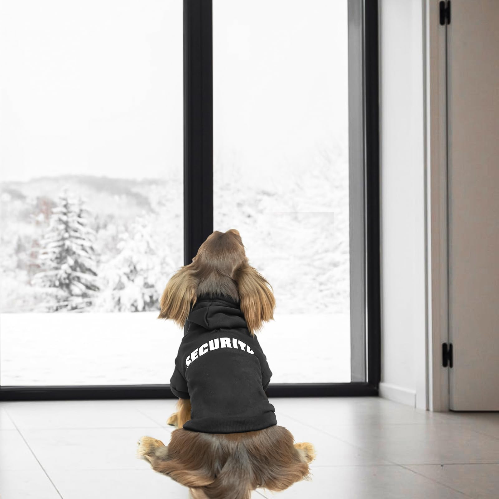 BINGPET Security Dog Hoodie - X-Large Dachshund Sweater, Soft Brushed Fleece, Black