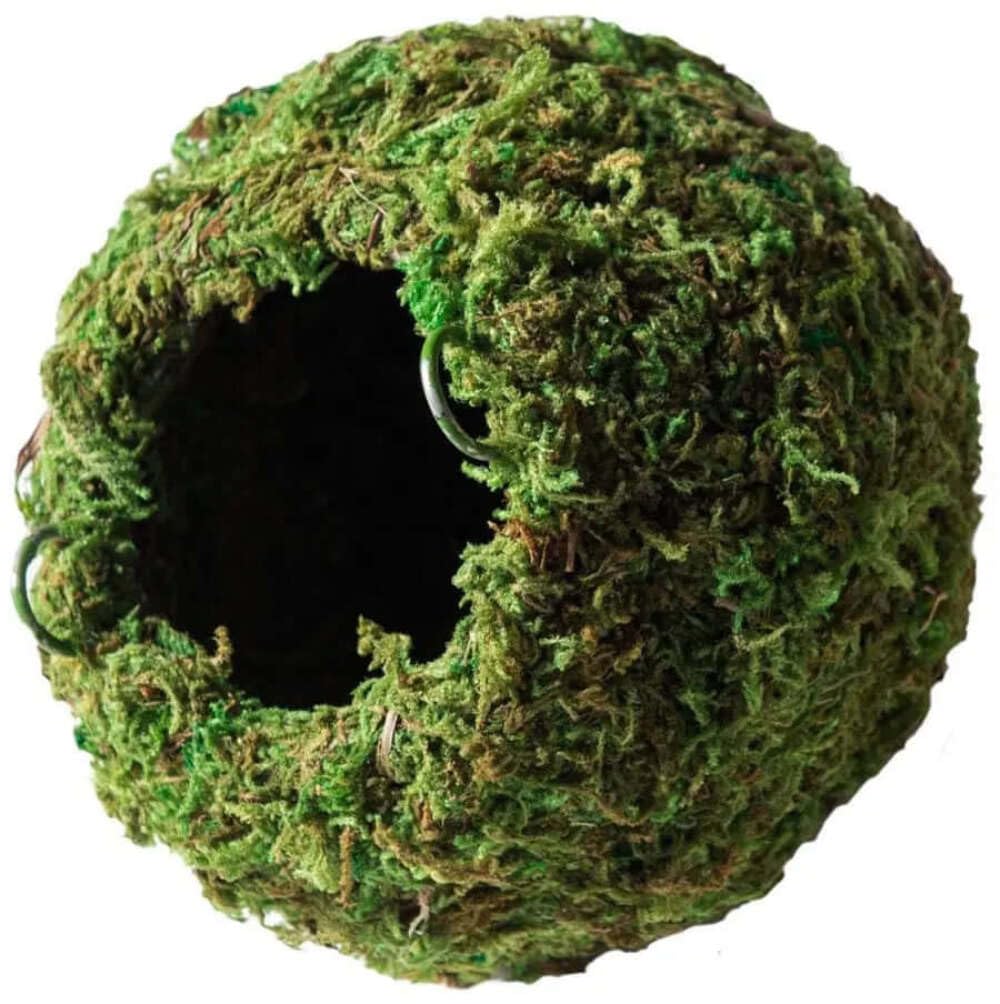 Galapagos 05344 Mossy Cave With Holes For Aquarium, 7.5'', Green (759834053446)