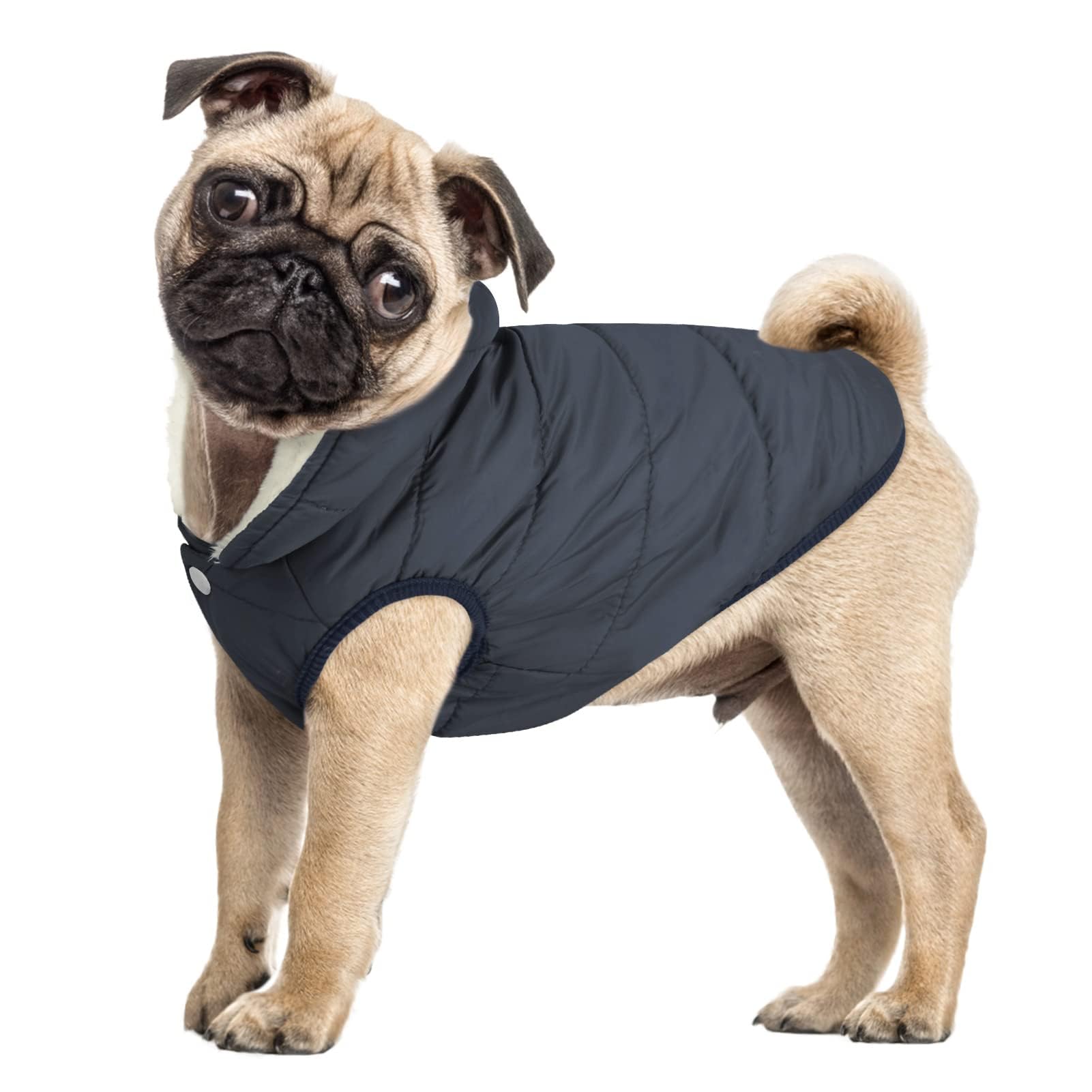 ASENKU Windproof Dog Coat - Waterproof Jacket with Fleece Lining for Cold Weather, 3XL, Blue