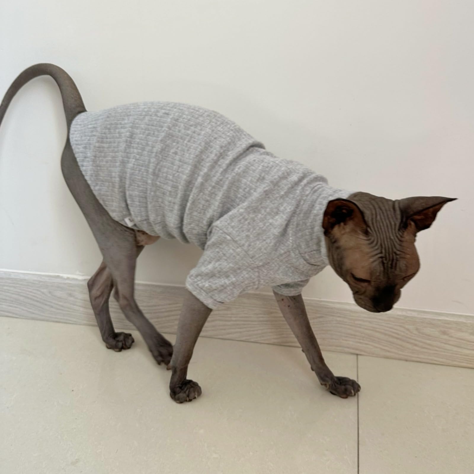Sphynx Hairless Cats Shirt Cotton Cat Turtleneck Sweater Pullover Kitten T-Shirts With Sleeves Cat Pajamas Jumpsuit For Sphynx C