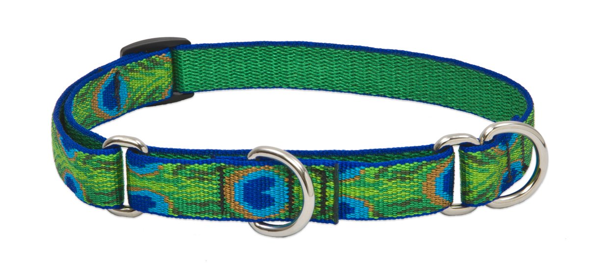 Lupinepet Originals 3/4' Tail Feathers 10-14' Martingale Collar For Small Dogs