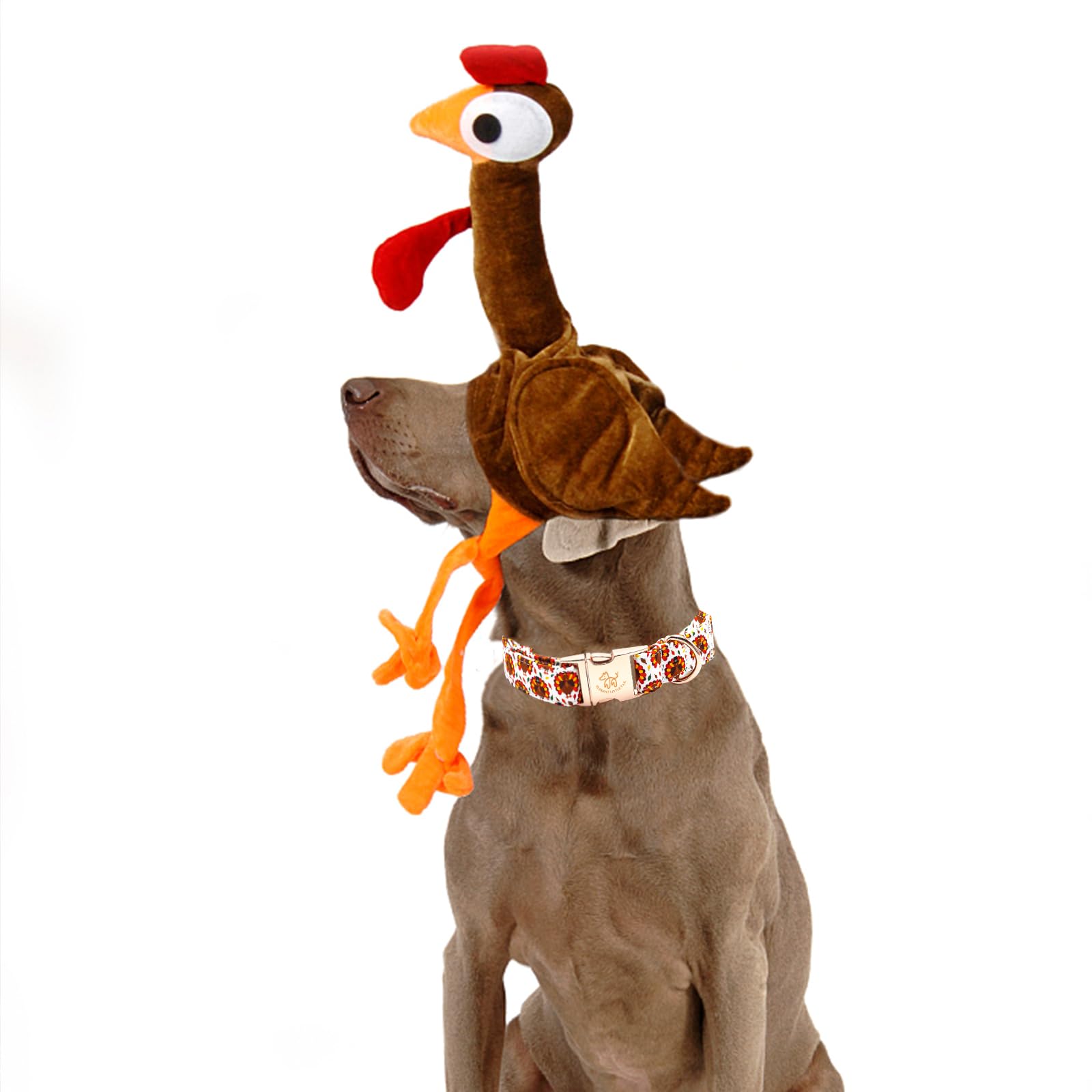 Elegant Little Tail Thanksgiving Dog Collar, Turkey Print Pet Collar Dog Durable Cute Dog Collars Winter Holiday Male Or Female