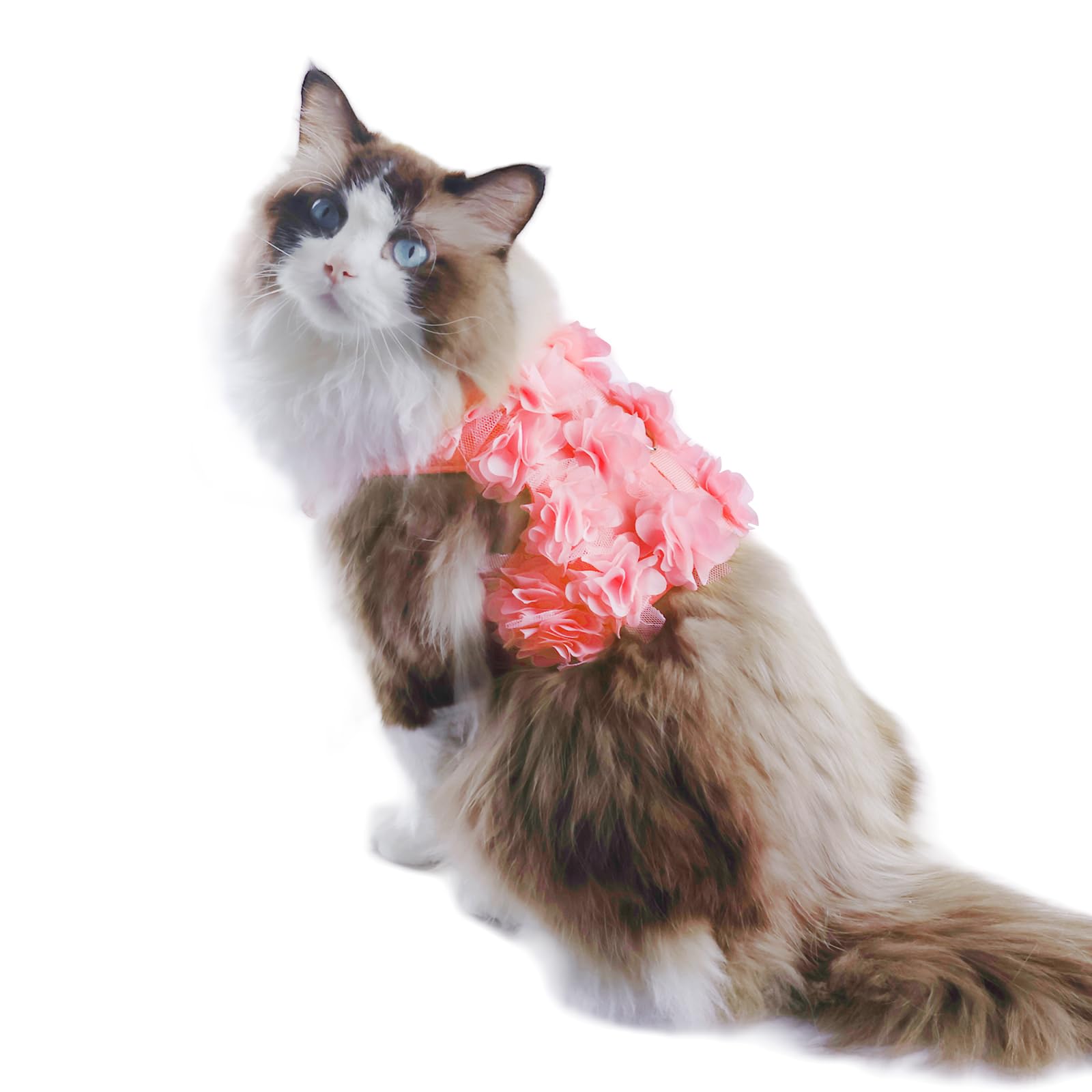 Cute Small Dog Harness - Escape-Proof Flower Dog Harness with Leash Set, Soft Mesh Small Puppy Vest Harness for Cats Dogs, Pink