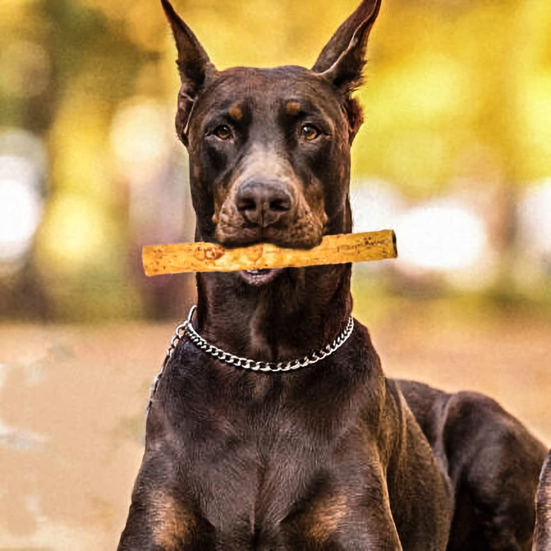 Fieldcrest Farms Nothin to Hide 10 Large Roll Peanut Butter Flavored Dog Chew, 180 Gram, Count of 2