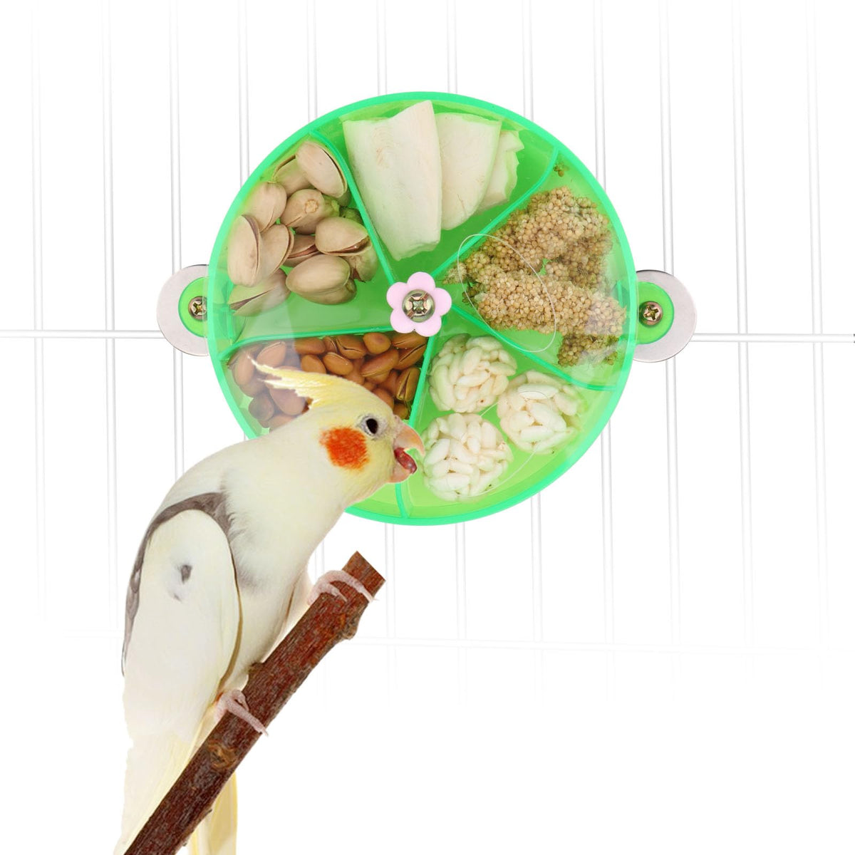 Bird Creative Foraging System Wheel Seed Food Ball Rotate Training Toy for Small and Medium Parrots Parakeet Cockatiel Conure (G