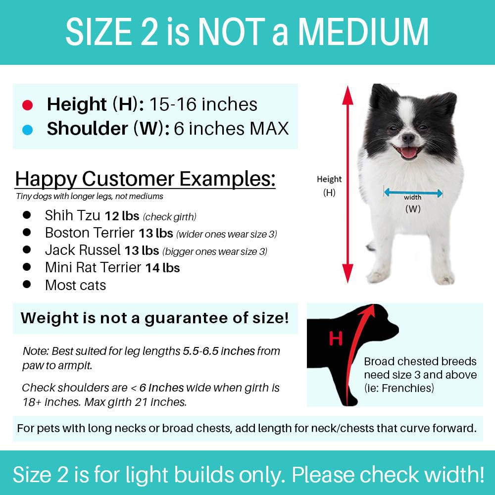 Pandaloon Dog Halloween Costume - As Seen On Shark Tank - Patented - Funny Costume With Arms For Small And Medium Dogs And Cats (Teddy Bear, Size 2(15-16 In Height At Top Of Head,Girth<16 In))