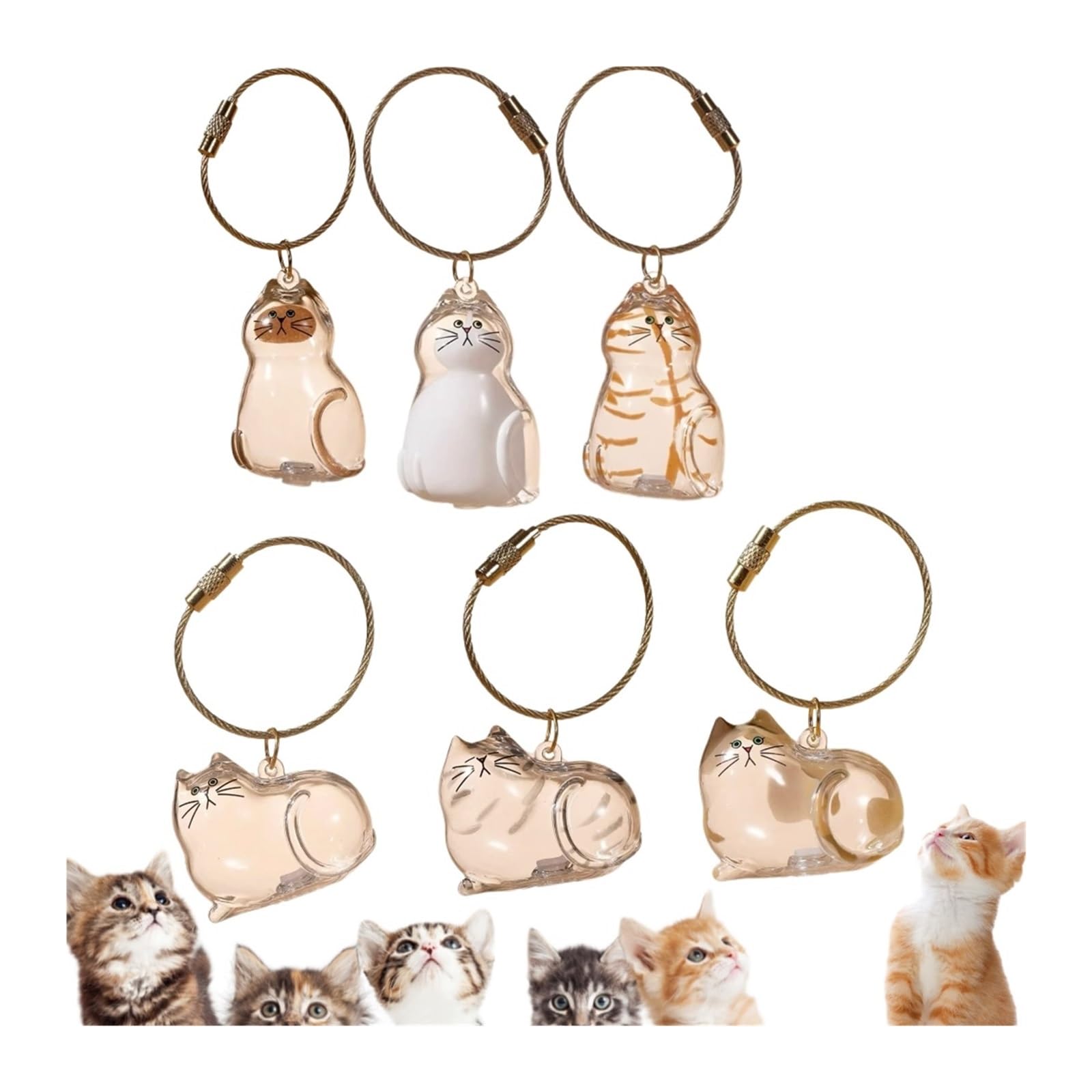 6Pcs Fur-Ever Loved Cat Hair Memorial Pendant, Cat Fur Keepsake Capsule Pendant, Cat Fur Keepsake Keychain, Pet Hair Storage Bot