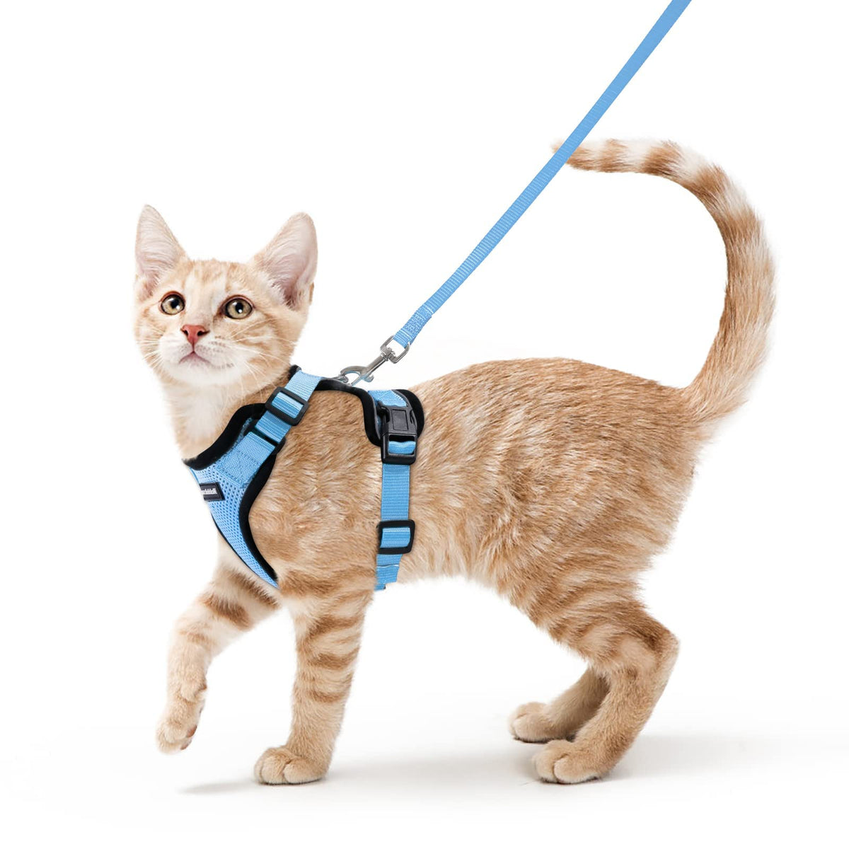 Rabbitgoo Cat Harness And Leash For Walking, Escape Proof Soft Adjustable Vest Harnesses For Cats, Easy Control Breathable Reflective Strips Jacket, Light Blue, Xs