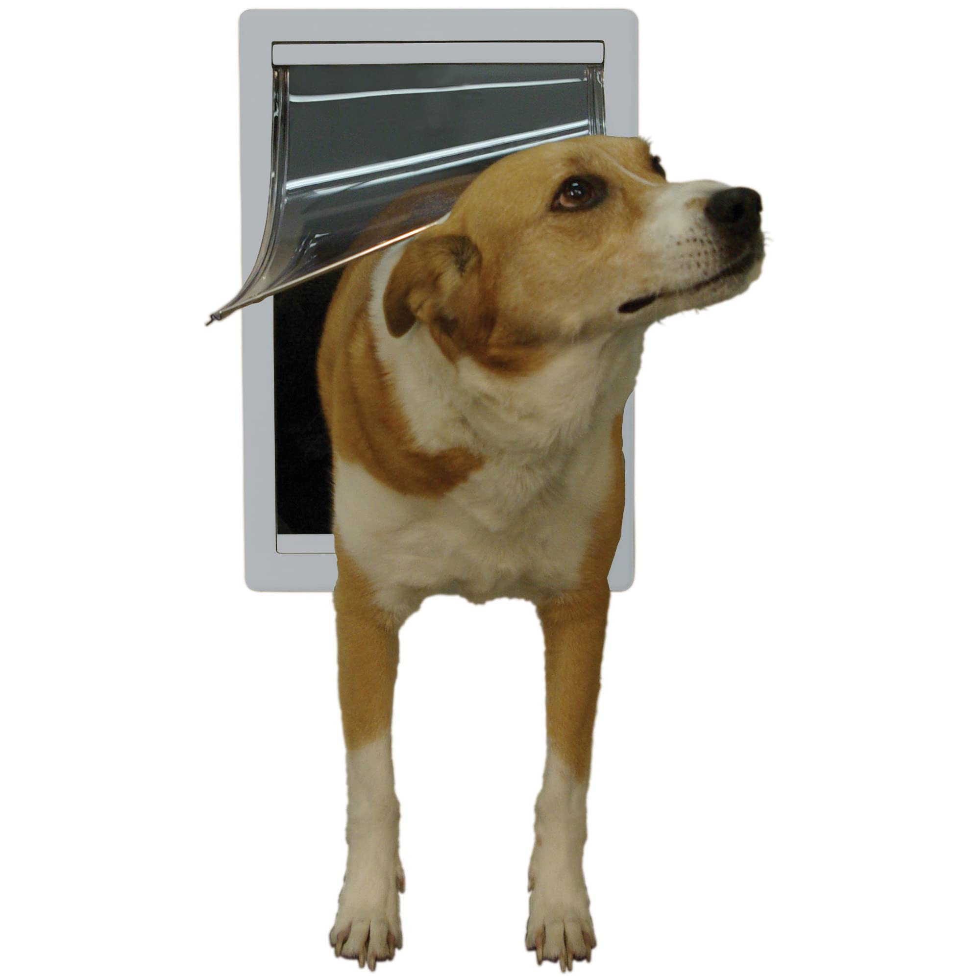 PET DOOR CAT/DOG GRY PLS (Pack of 1)