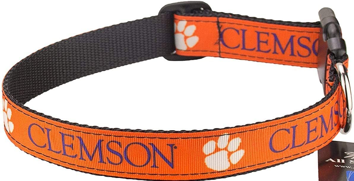 College Dog Collar (Small, Clemson)