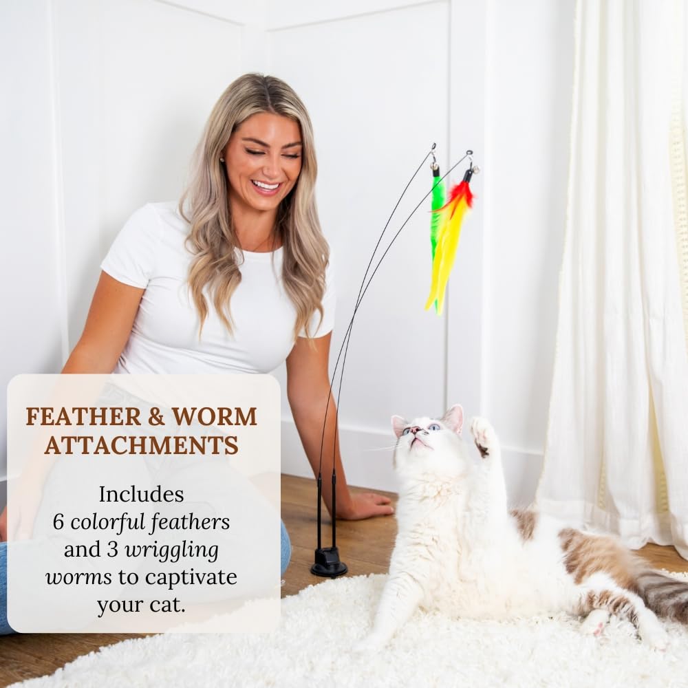 Suction Cup Cat Toys For Indoor Cats Feather Teaser Wand With Worms & Catnip Lizard Chew Toys Kittens Enrichment Toy For Bored C