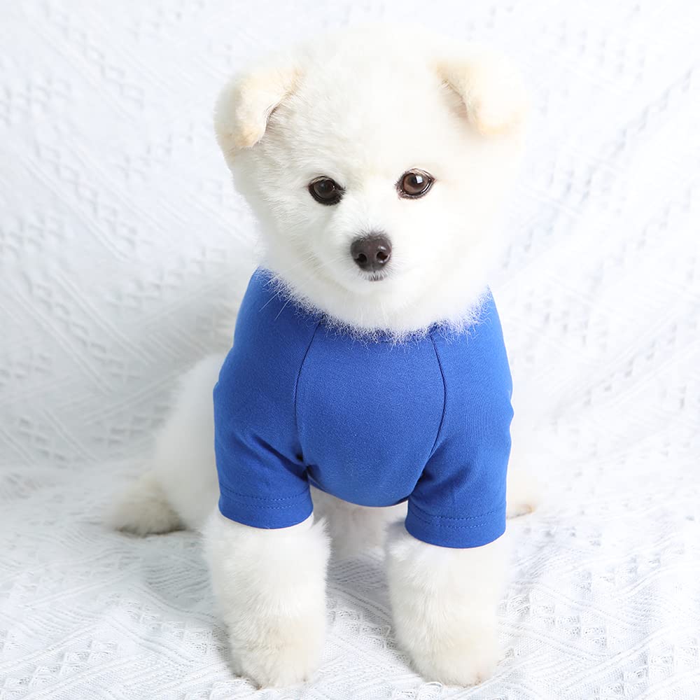 Lucky Petter Dog Shirt For Small Dogs Plain T-Shirts Soft Breathable Dog Cotton Shirt Pet Clothes (Large, Blue)