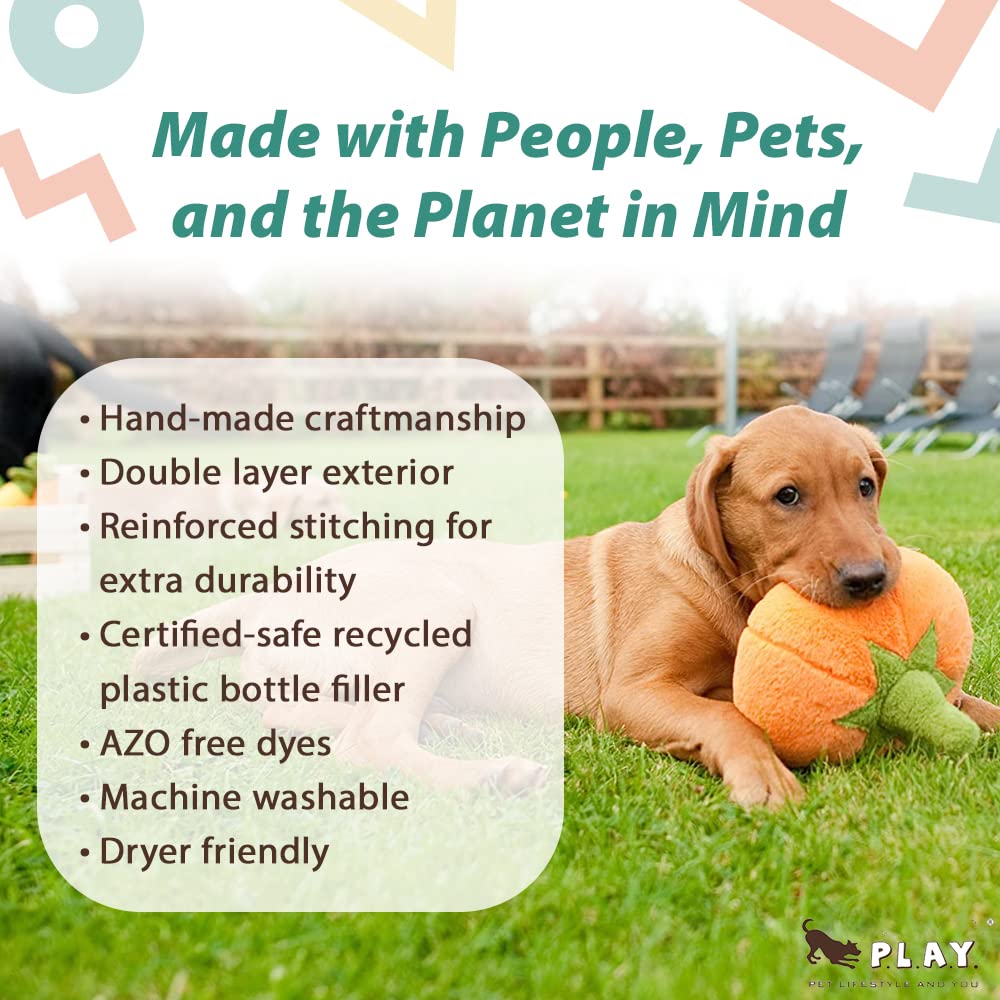 P.L.A.Y. Cute Plush Dog Toys - Fruit & Vegetable Themed Durable Squeaker Chew Toy, Great For Puppies & Small, Medium, Large Dogs - Machine Washable, Recycled Materials (Garden Fresh Pumpkin, Medium)