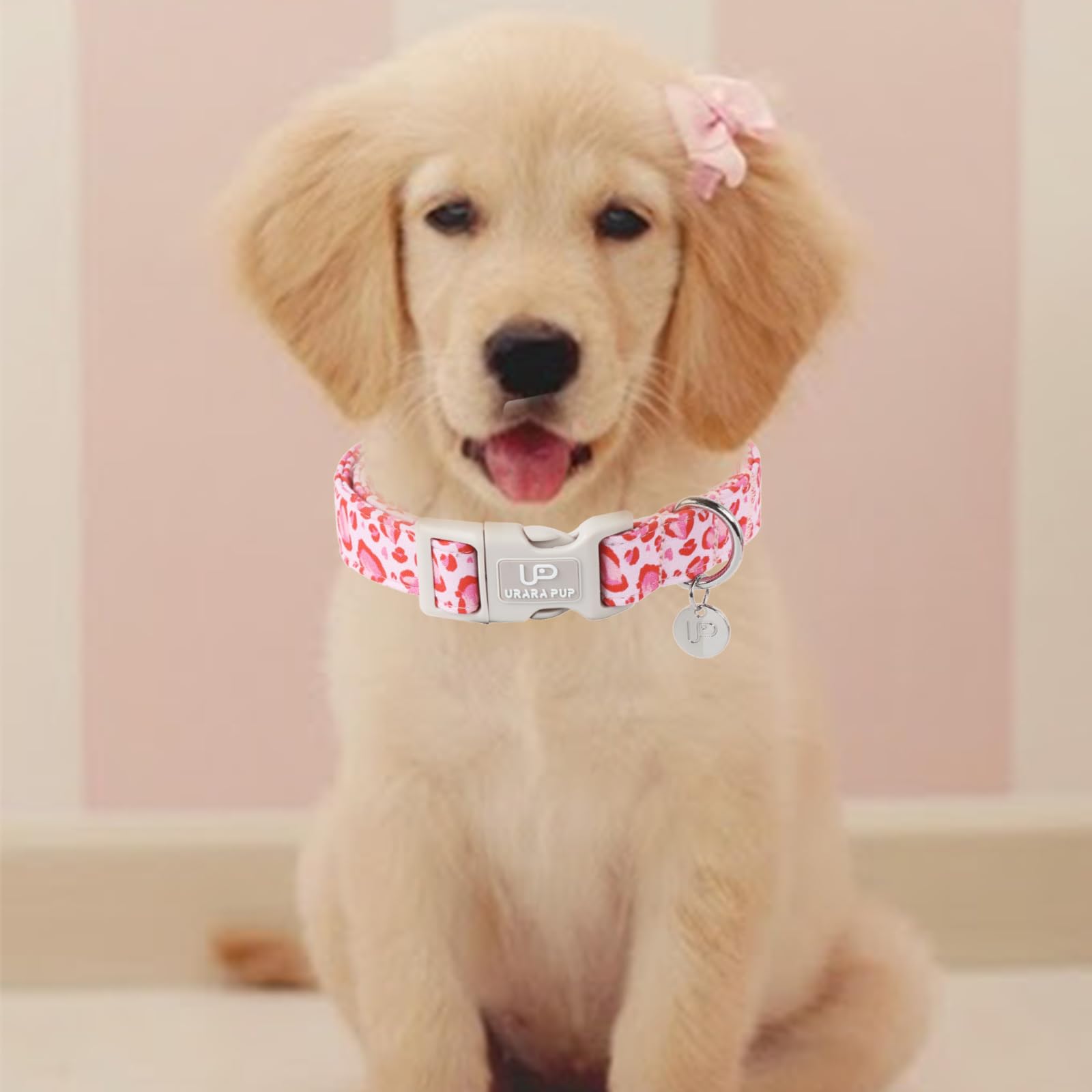 Up Urara Pup Pink Heart Dog Collar, Adjustable Size (15.35''-23.62''), Valentine'S Gift For Puppy Dogs, Wedding Collar