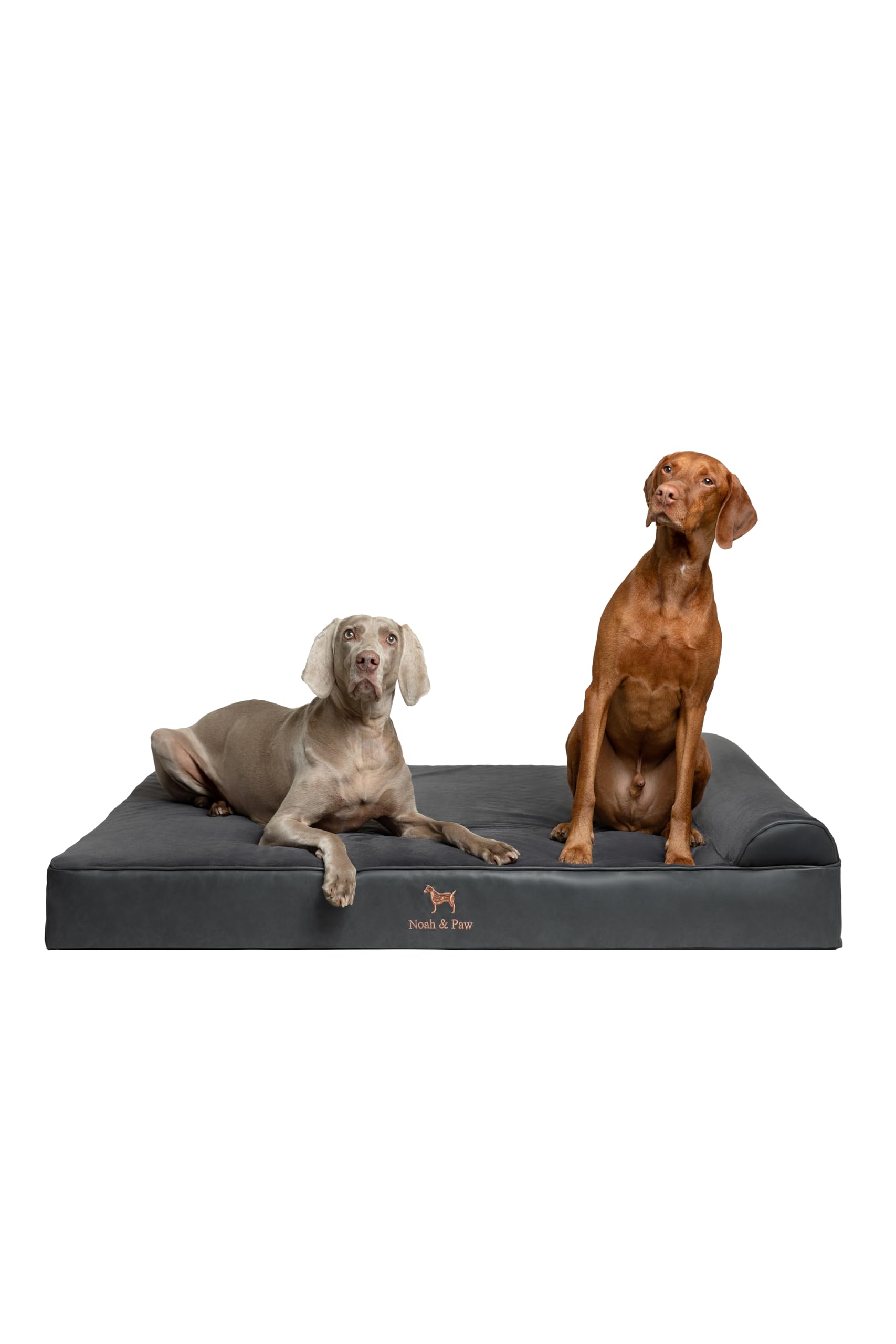 NOAH & PAW Giant Dog Bed XXL 55x45x9.5 Inch, Orthopedic Dog Beds, Eggshell Memory Foam Infused with Cooling Gel, Waterproof, Mac