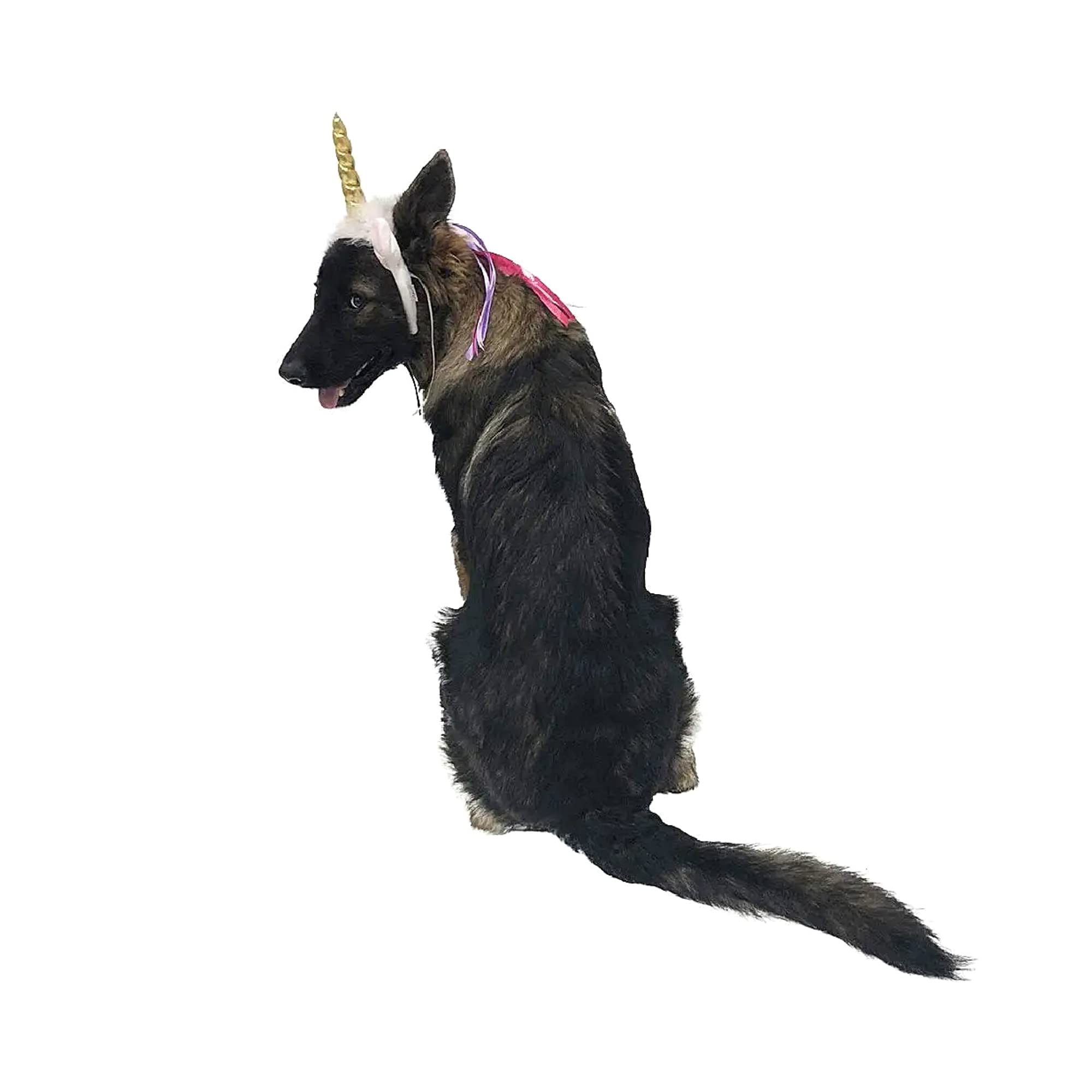 Midlee Dog Unicorn Horn Headband Halloween Costume