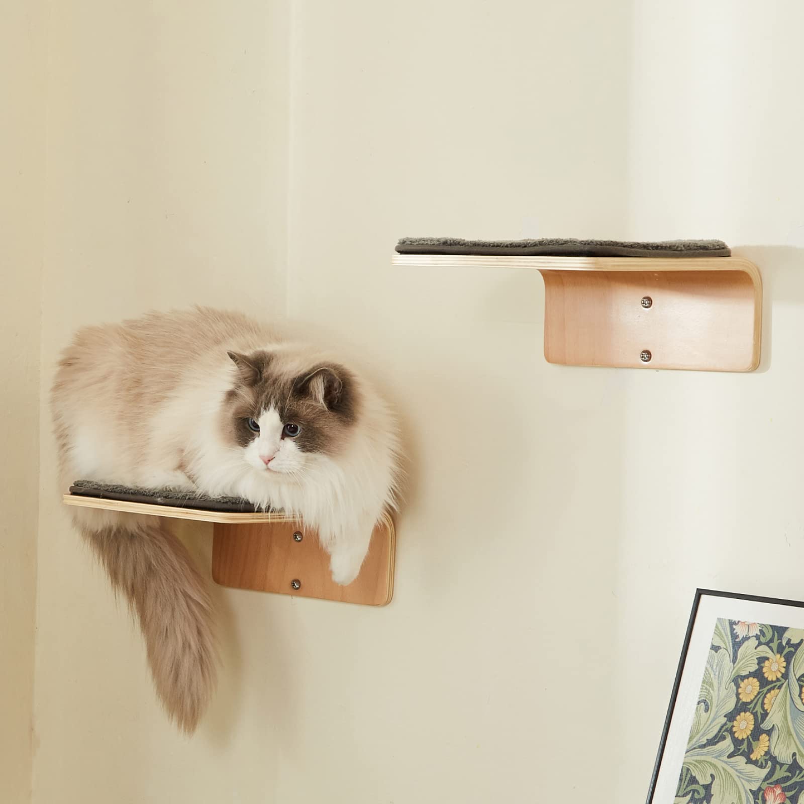 LIORCE Cat Wall Steps - Wooden Climbing Shelf with Scratching Mat - Cream & Gray, Wall-Mounted Cat Furniture for Jumping & Playing