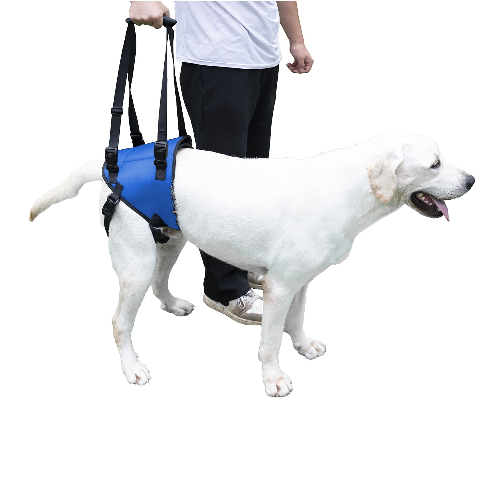 Dog Sling For Injured And Weak Hind Legs Hind Leg Support Device To Help Rehabilitate Older Dogs With Weak Hind Legs Dog Harness